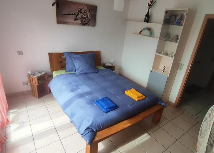 Casa Diana Locarno-cugnasco 招待所 *